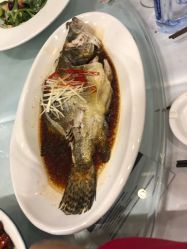 -鑫淼餐饮娱乐中心(江东街店)