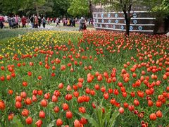 -长春公园(普阳街道)