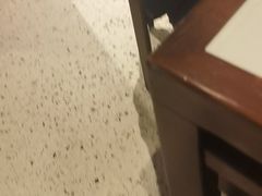 -慧娟面馆·餐厅(望江路店)