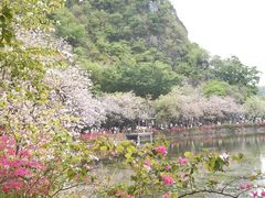 -星湖旅游景区七星岩