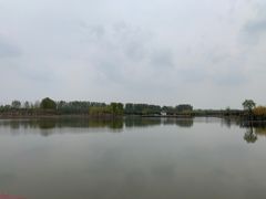 -东郊湿地公园