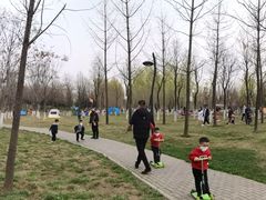 -洨河生态公园