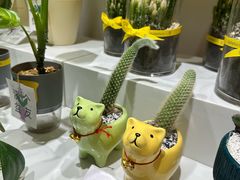 -桂满陇·锦绣江南(益田广场店)
