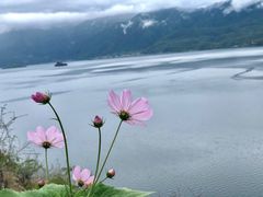 -丽江泸沽湖景区-里格半岛