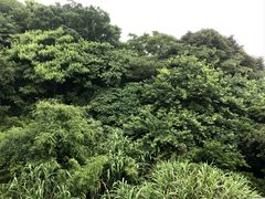 -普陀山风景区-佛顶山