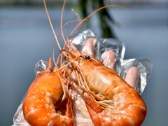 -蟹天蟹地农家菜·阳澄湖大闸蟹(浅水湾店)