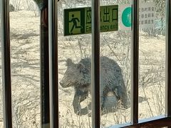 -太原动物园
