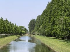 -黄海国家森林公园