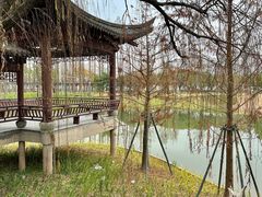 -江心屿景区