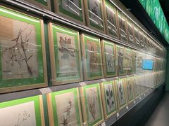 -四川大学博物馆