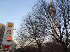-延长壳牌加油站(长安南路电视塔站)