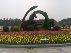 android_upload_pic-上海鲜花港