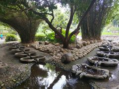 -成都市活水公园