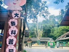 -野象谷景区