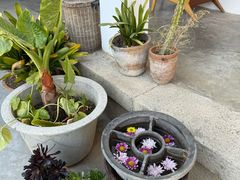 -翠田Green Field Kitchen