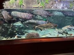 -太平洋海底世界