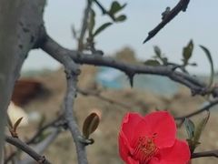 -漕湖湿地公园