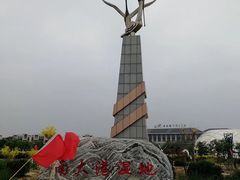 -南大港湿地风景区