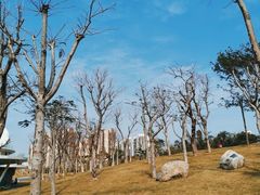 -白石龙音乐公园