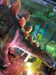 -恐龙探索乐园(磁器口店)