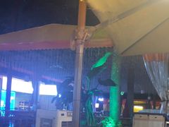 -二荆条·蜀鲜汇城市森林火锅