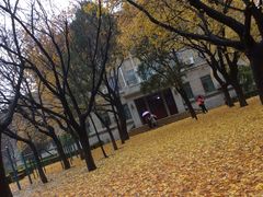 -山东师范大学(千佛山校区)