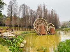 -森波拉奇妙世界