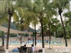 -重庆海昌加勒比海水世界