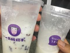 -一只酸奶牛(八一路店)