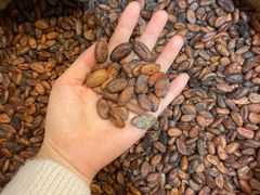 -歌斐颂巧克力小镇