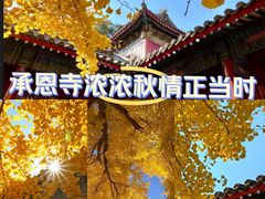 -承恩寺