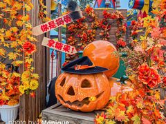 -广州长隆欢乐世界