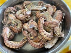 -大湾区中央湿地公园-十九涌