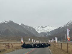 -祁连山·岗什卡雪峰景区