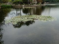 -广西大学(大学东路校区)