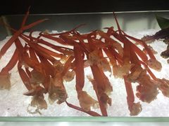 -雄楚国际大酒店-四季西餐厅