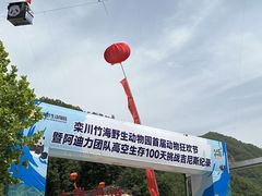 -栾川竹海野生动物园