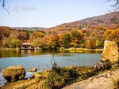 -紫霞湖公园
