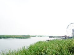 -太湖湖滨国家湿地公园-停车场