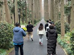 -上海怡沁园度假酒店