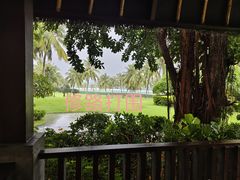 -海南清水湾莱佛士酒店