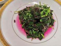 -蝶园·装修中(BFC外滩金融中心店)