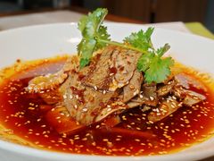 -新渝城·川菜·火锅(区庄店)