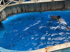 -海合安成都极地海洋公园