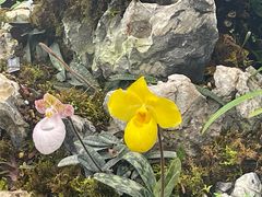 -国家植物园南园