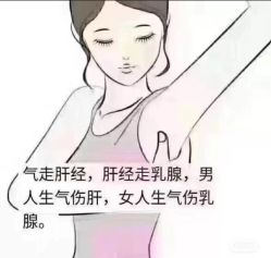-香薇妮丝·定制减肥·身材管理