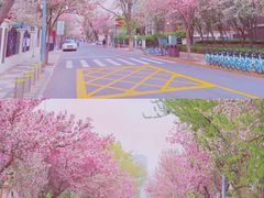 -岳阳道小学(大理道校区)