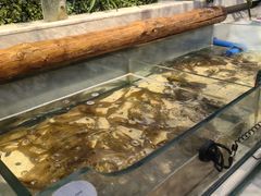 -川骄海鲜自助(河东店)