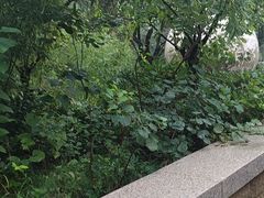 -竹泉村旅游度假区