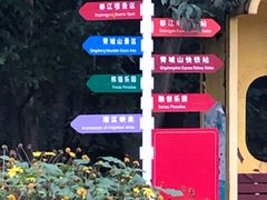 -都江堰中华大熊猫苑